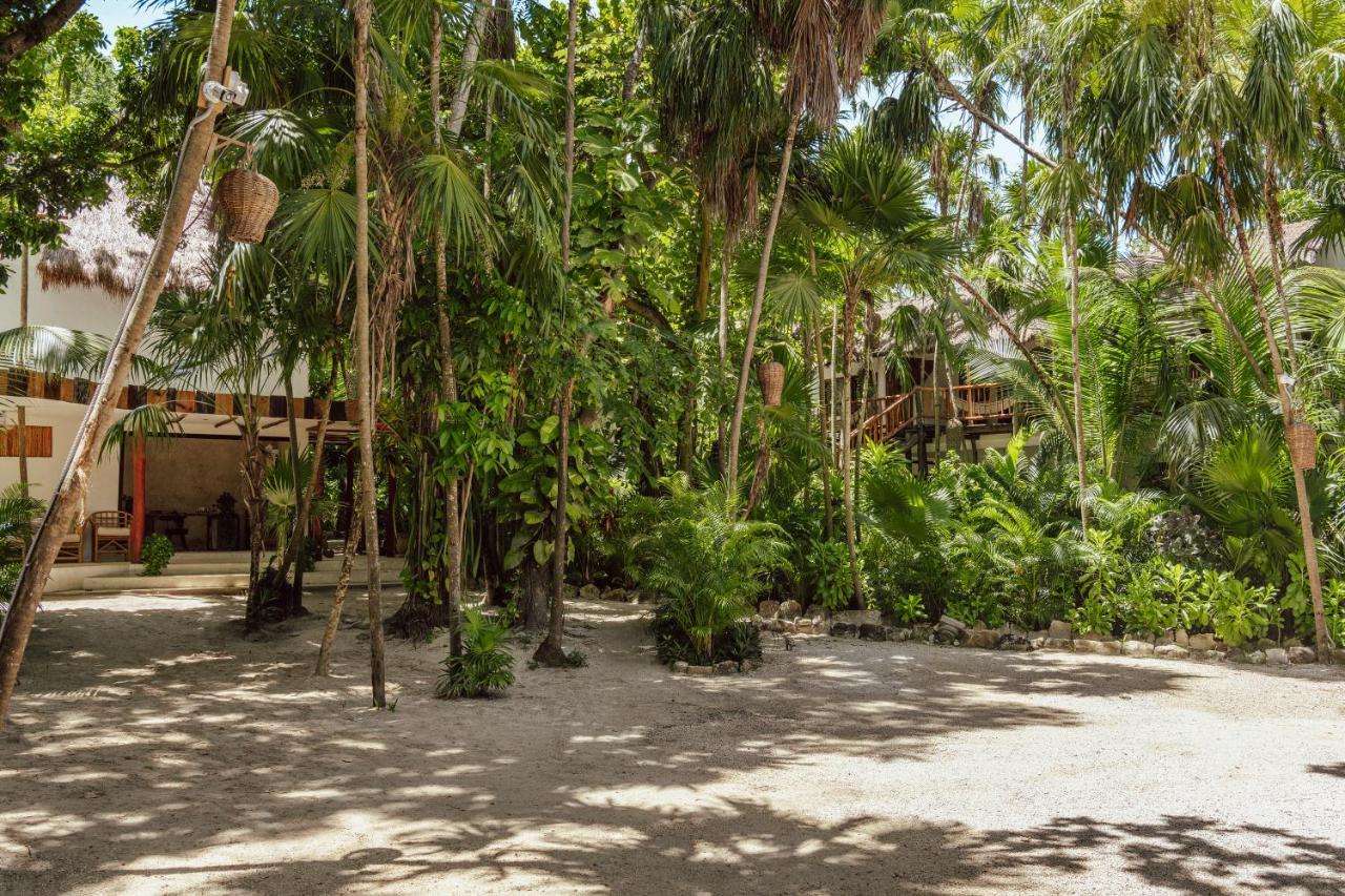 Dos Ceibas Tulum - Massage & Yoga Inclusive Ξενοδοχείο Εξωτερικό φωτογραφία