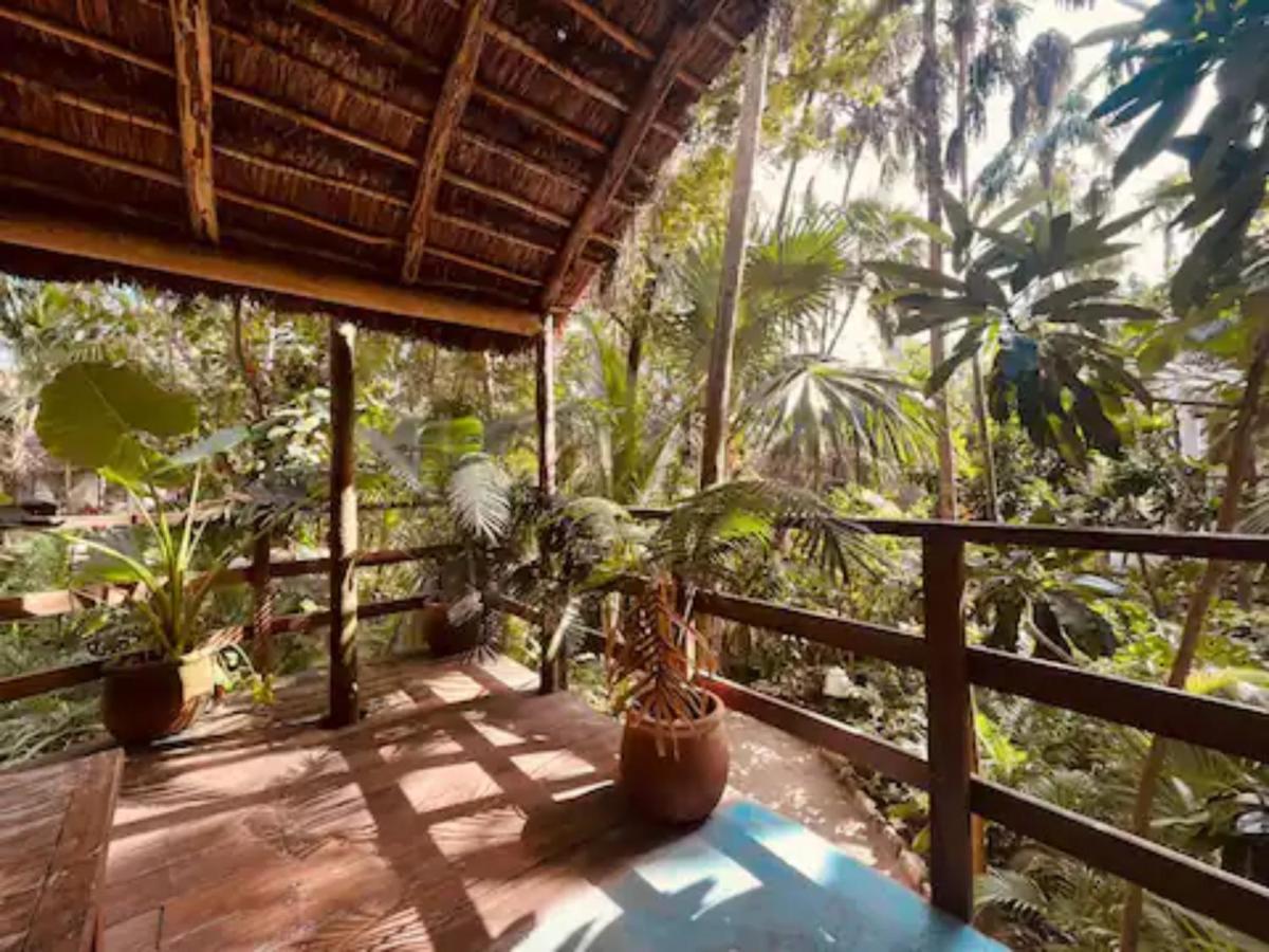 Dos Ceibas Tulum - Massage & Yoga Inclusive Ξενοδοχείο Εξωτερικό φωτογραφία