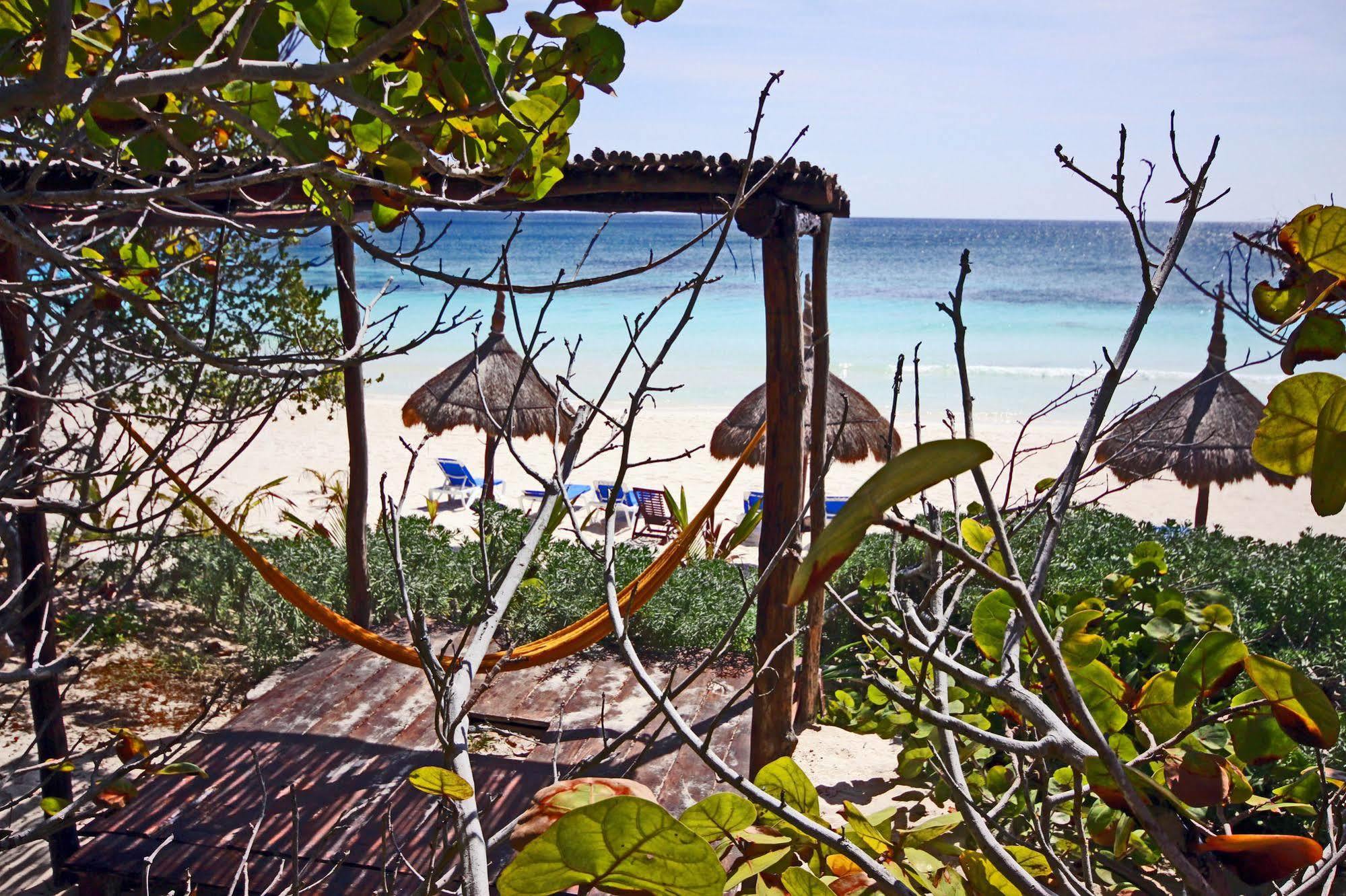 Dos Ceibas Tulum - Massage & Yoga Inclusive Ξενοδοχείο Εξωτερικό φωτογραφία